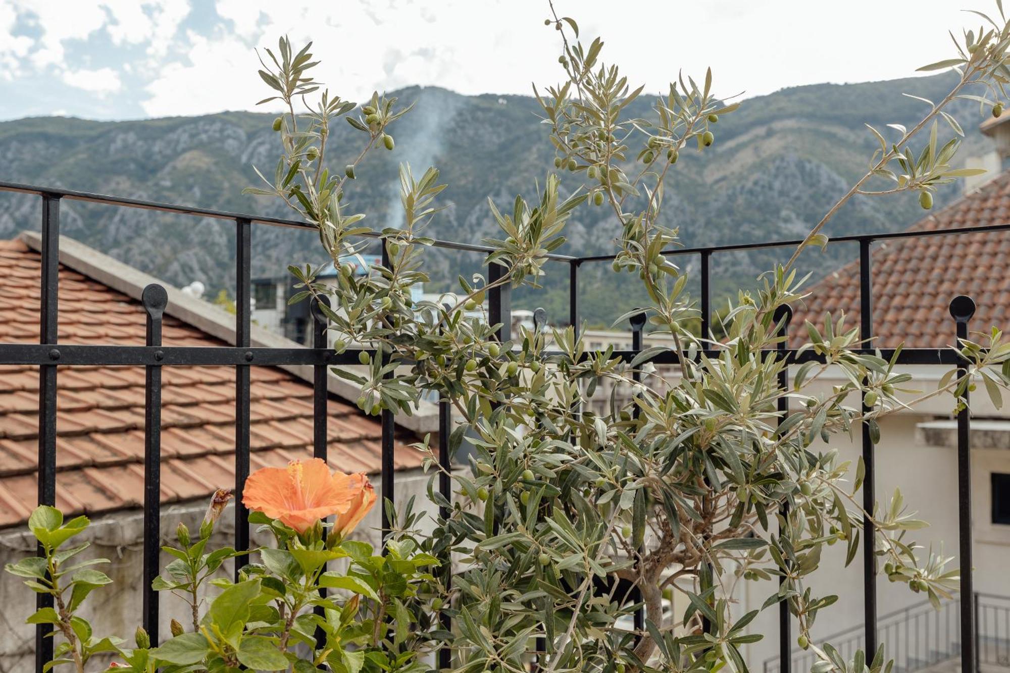 Kotor Central Point Buitenkant foto